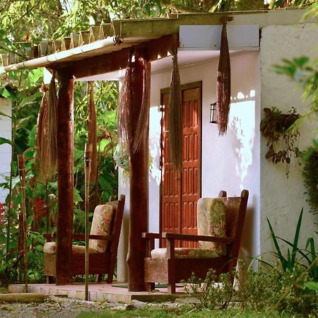 Вілла Casa A Beira Do Rio Jaguareguava Na Mata Atlantica Em Bertioga Sp Екстер'єр фото