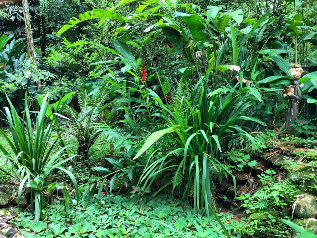 Вілла Casa A Beira Do Rio Jaguareguava Na Mata Atlantica Em Bertioga Sp Екстер'єр фото