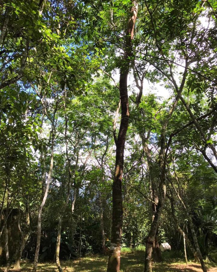 Вілла Casa A Beira Do Rio Jaguareguava Na Mata Atlantica Em Bertioga Sp Екстер'єр фото