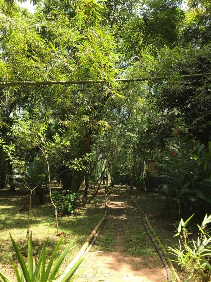 Вілла Casa A Beira Do Rio Jaguareguava Na Mata Atlantica Em Bertioga Sp Екстер'єр фото