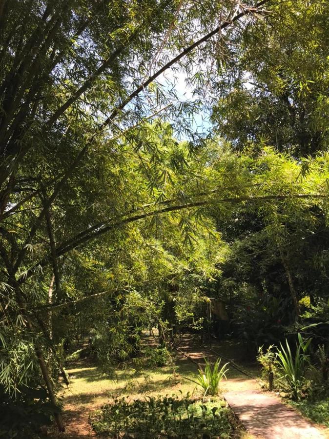 Вілла Casa A Beira Do Rio Jaguareguava Na Mata Atlantica Em Bertioga Sp Екстер'єр фото