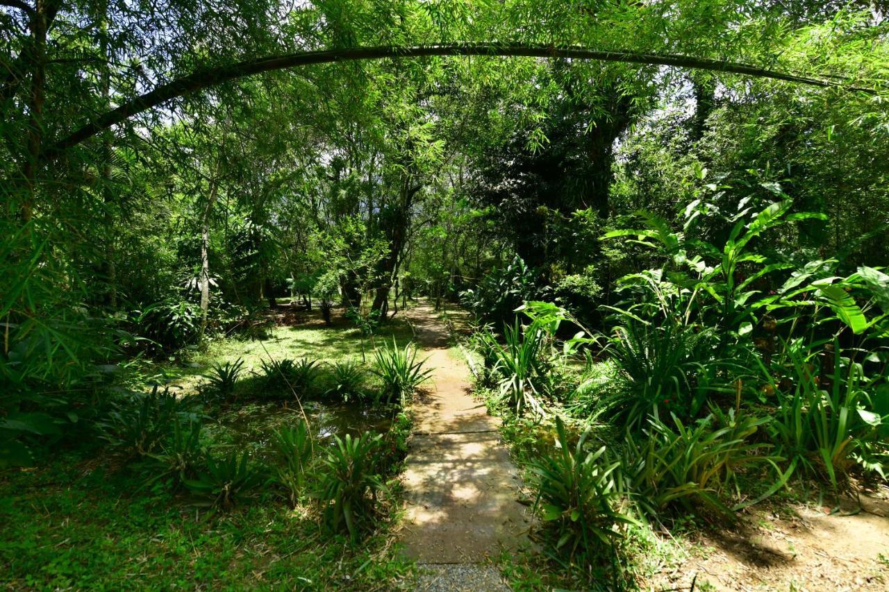Вілла Casa A Beira Do Rio Jaguareguava Na Mata Atlantica Em Bertioga Sp Екстер'єр фото